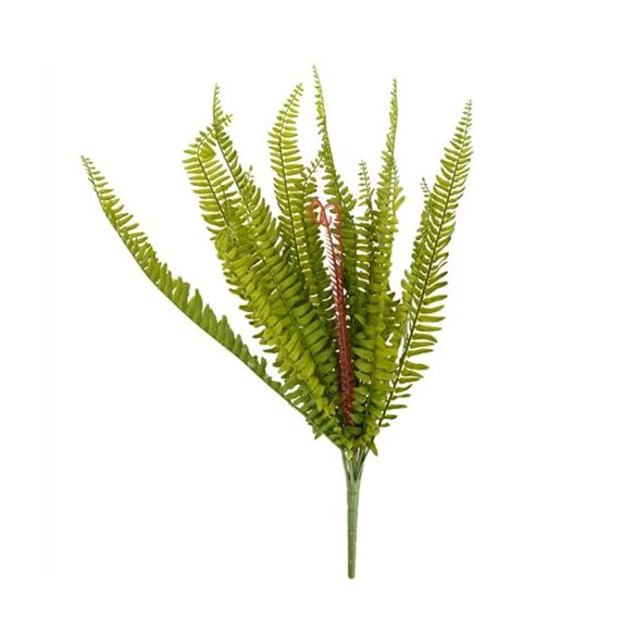 Páfrány 60cm - Zöld