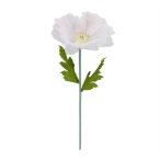 Pipacs óriás 115cm szárral - Halvány rózsaszín