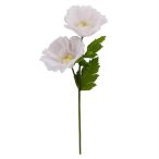   Pipacs óriás 135cm szárral 2virággal - Halvány rózsaszín