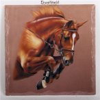 K. Alátét 4sz. Barna ló 16x16cm