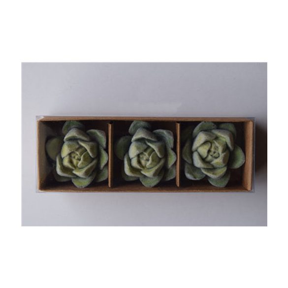 Kaktusz 3,6cm - Zöld (3db/csom)