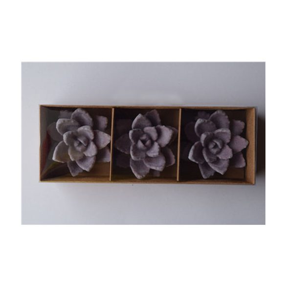 Kaktusz 5,9cm - Llila (3db/csom)