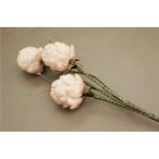 FOAM ARTICSÓKA V.RSZÍN   80cm