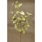 Eukalyptus ág foam 65 cm - Világos zöld