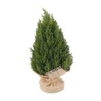 Tujabokor jutazsákkal 33 cm