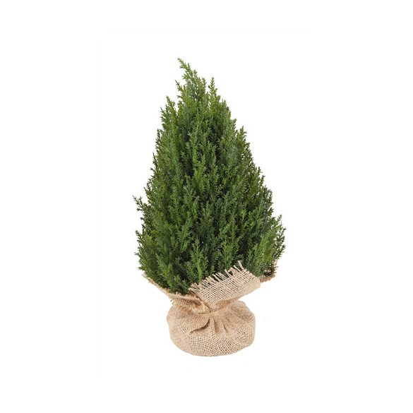 Tujabokor jutazsákkal 33 cm