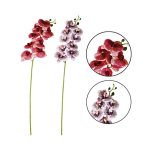 Orchidea szálas x9 75cm - 2 színben