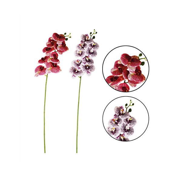 Orchidea szálas x9 75cm - 2 színben