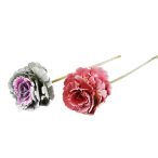 Virág díszkáposzta 39 cm - 2 színben