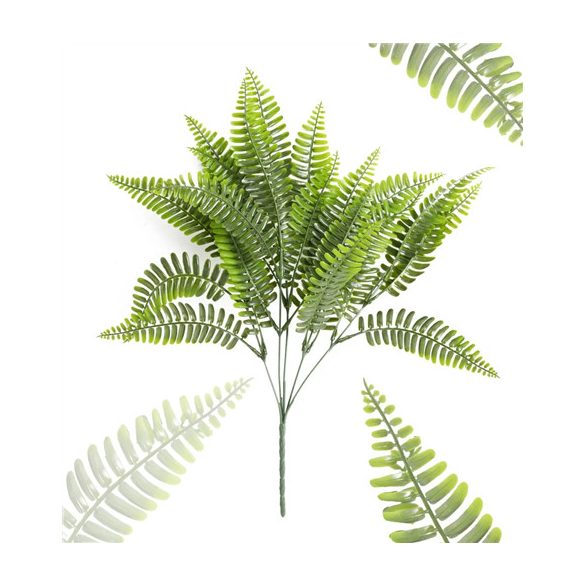 Csokros páfrány 5 ág 44cm - Zöld