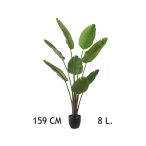 Papagájvirág 8 levél 159 cm (műanyag cserépben)
