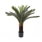 Cycas pálma 85cm/ 25levél (műanyag cserépben)