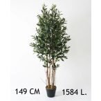   Olajbogyó fa 4 törzs 1584 levél 149cm (műanyag cserépben)