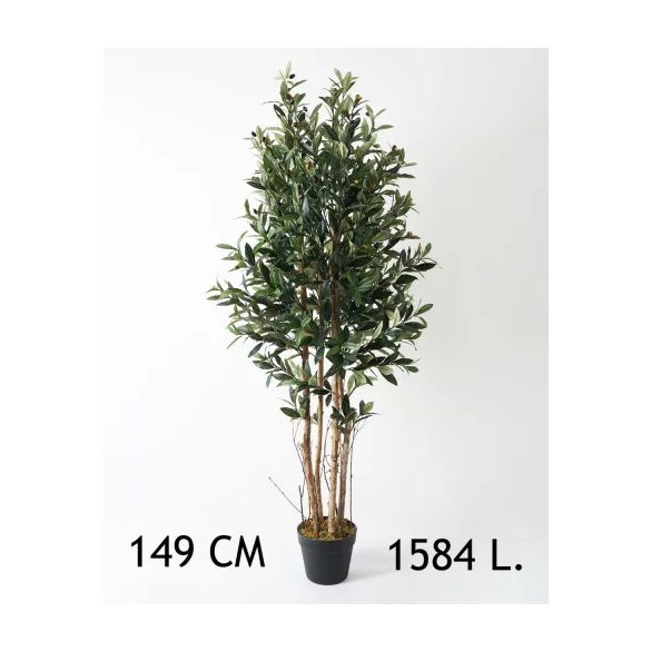 Olajbogyó fa 4 törzs 1584 levél 149cm (műanyag cserépben)