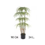 Papirusz pálma 24 levél 90 cm (műanyag cserépben)