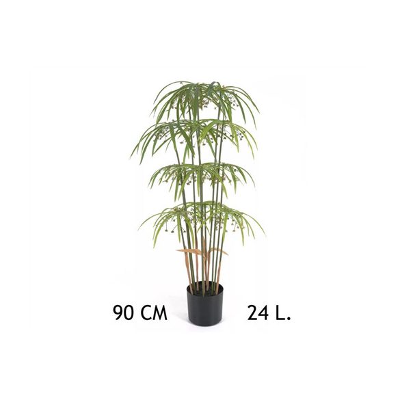 Papirusz pálma 24 levél 90 cm (műanyag cserépben)
