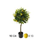 Citromfa 13 gyümölcs 90 cm (műanyag cserépben)