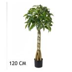 Vadkakaó 4 törzs 120 cm - Zöld (műanyag cserépben)