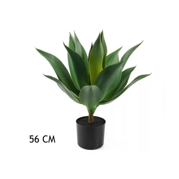 Agávé 56 cm- Zöld  (műanyag cserépben)