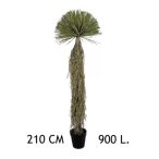 Yukka 210 cm 50 ág 900 levél