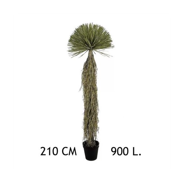 Yukka 210 cm 50 ág 900 levél
