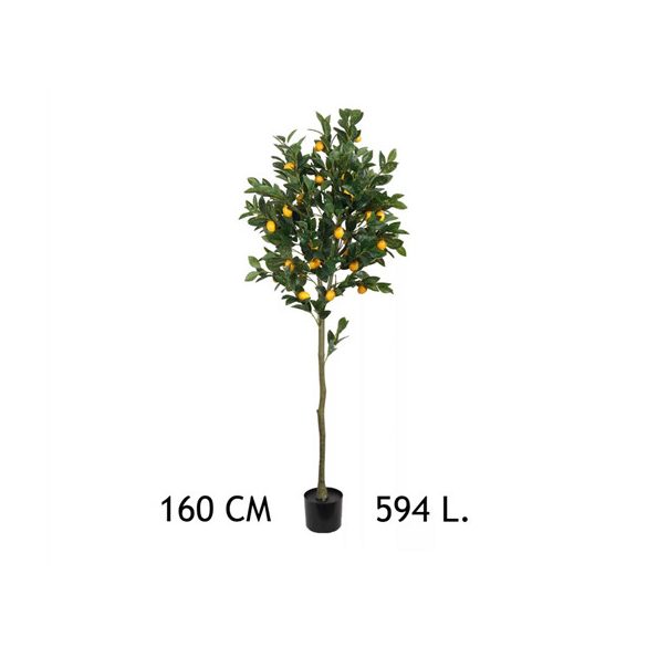 Citromfa 594 levél 160 cm