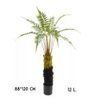 Páfrány 12levél 120cm (műanyag cserépben)