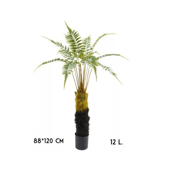 Páfrány 12levél 120cm (műanyag cserépben)