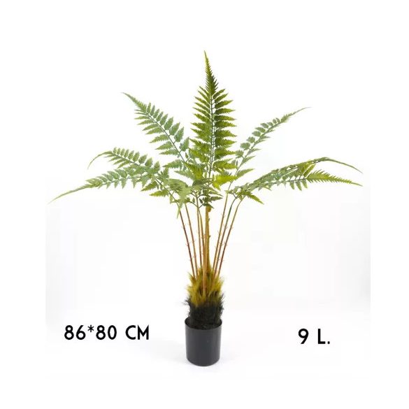 Páfrány 9levél 86cm (műanyag cserépben)