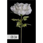 Rózsa óriás 170cm szárral - Fehér