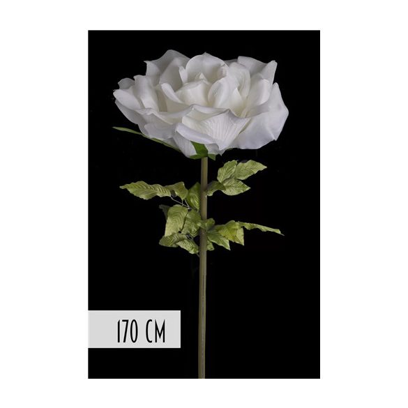 Rózsa óriás 170cm szárral - Fehér