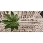 Papaya levél 9ágú