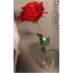 RÓZSA BÁRSONYFEJÜ SZÁLAS