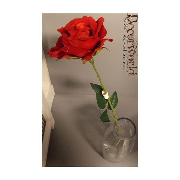 RÓZSA BÁRSONYFEJÜ SZÁLAS