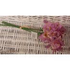 Alstroemeria S/3 - Pink