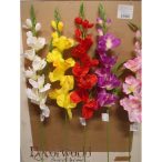 Kardvirág szálas 70cm - 5 színben