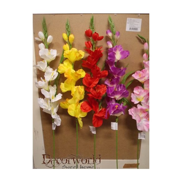 Kardvirág szálas 70cm - 5 színben