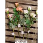 Szálasz rózsa 60cm - Több féle