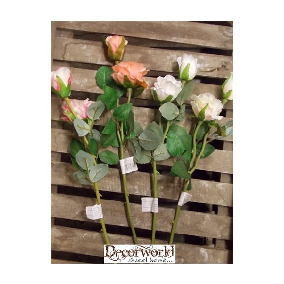 Szálasz rózsa 60cm - Több féle