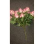 Rózsabokor 55cm 15 fej + bimbó - Rózsaszín