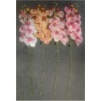 Phalaepnopsis ág gumi 70cm - 4 színben