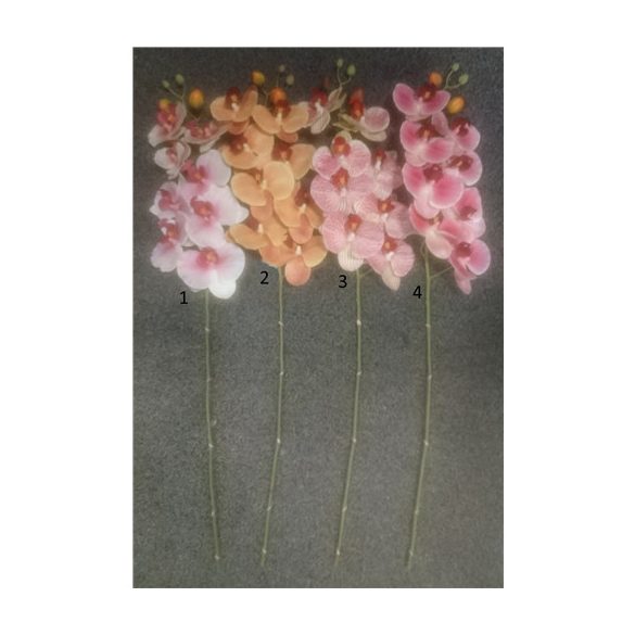Phalaepnopsis ág gumi 70cm - 4 színben