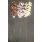 Phalaepnopsis ág gumi 100cm - 3 színben