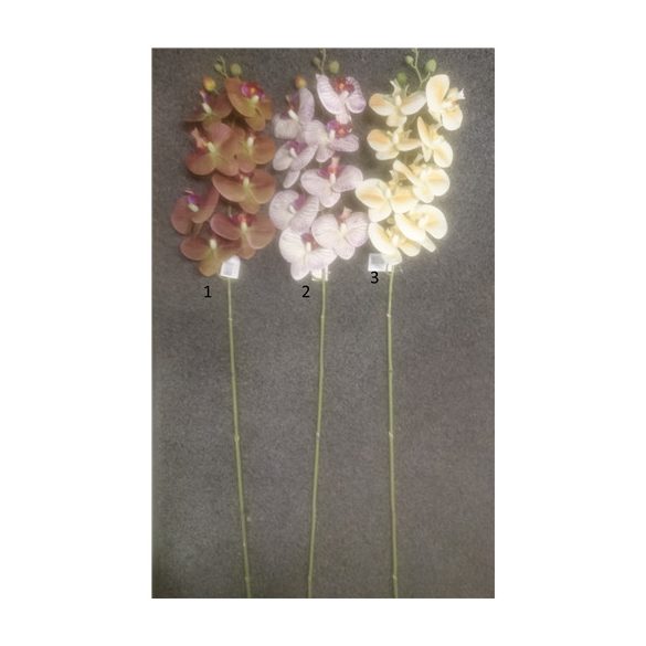 Phalaepnopsis ág gumi 100cm - 3 színben