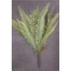 Páfrány 20 levél 50cm