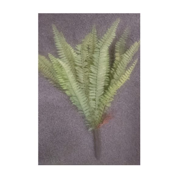 Páfrány 20 levél 50cm