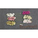 Phalanopsis Orchidea szál 75 cm - 6 színben