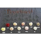 Szegfű szál 60 cm - 5 színben (AGRPK,LTPH,PH,LTPK,CR)