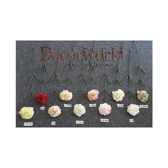 Szegfű szál 60 cm - 5 színben (AGRPK,LTPH,PH,LTPK,CR)