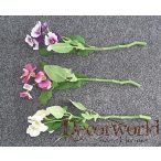 Rövidszárú élethű árvácska